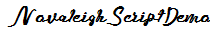 NovaleighScriptDemo